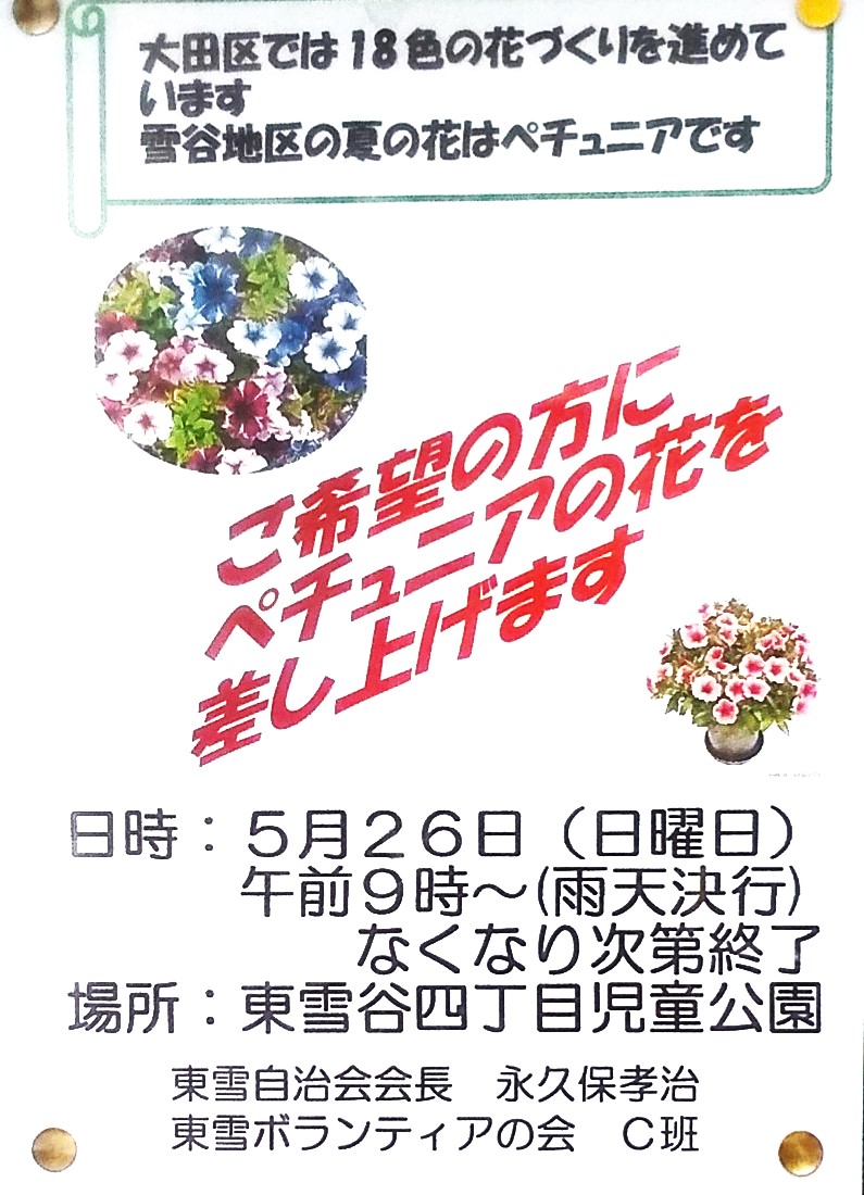 ペテュニア配布